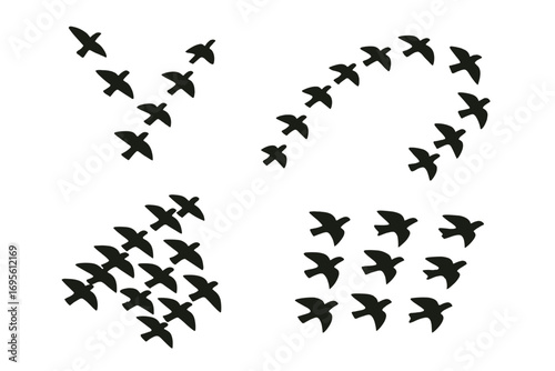 Bird flock silhouette collection. Flying birds formation set. Migration teamwork concept. Unity, freedom, leadership. Organized group and chaotic swarm. Vector icons.