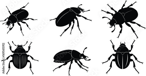 Set of Beetle Silhouettes Vector, Insect Collection, Black Bug Illustration, Entomology Design, Realistic Beetles for Science, Nature, and Education