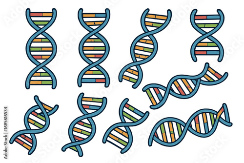DNA double helix vector set. Collection of gene spiral illustrations for science, biology, and genetic research. Chromosome structure molecule icon for medical design element.