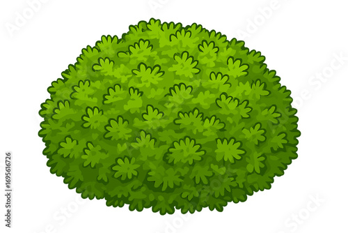 Fresh green moss texture top view. Cartoon vector illustration of vibrant moss plant close-up on clean white background. Nature foliage detail, botanical element, forest ground cover vector