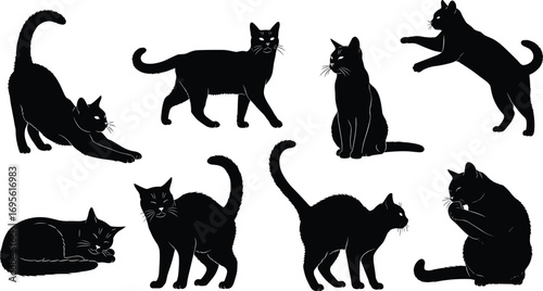 Set of Black Cat Silhouettes in Various Poses, Sitting, Sleeping, Playing, Stretching, Halloween Theme, Domestic Pet Vector Illustration