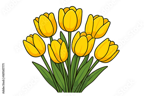 Yellow tulips bouquet vector. Spring flower illustration. Floral bunch cartoon style. Isolated for greeting card design. Beautiful nature graphic. Easter mothers day gift.