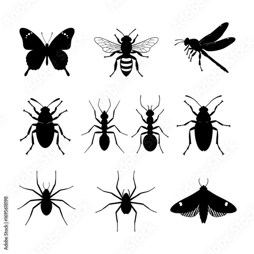 Silhouette illustration of various insects including a butterfly bee dragonfly and several types of ants and spiders