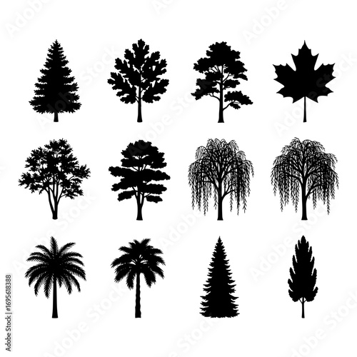 Silhouette collection of twelve assorted tree types including maple, willow, palm and evergreen trees