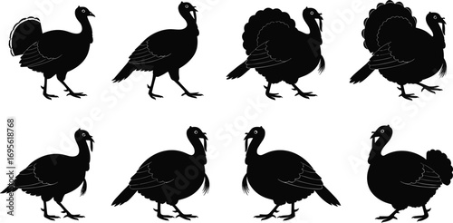 Vector Turkey Silhouettes, Wild Turkey Clipart, Thanksgiving Bird Graphics, Roaming Turkey Illustrations, Feathered Game Bird Design, Wildlife Turkey Art, Nature Turkey Vector