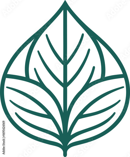 Vector art of a stylized green leaf outline with internal veins, representing nature and growth.