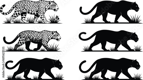 Black panther and leopard vector silhouette, jungle wildlife animal design, big cat illustration, walking pose, predator artwork, nature clipart.