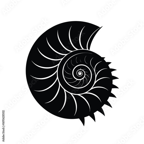 nautilus shell vector illustration