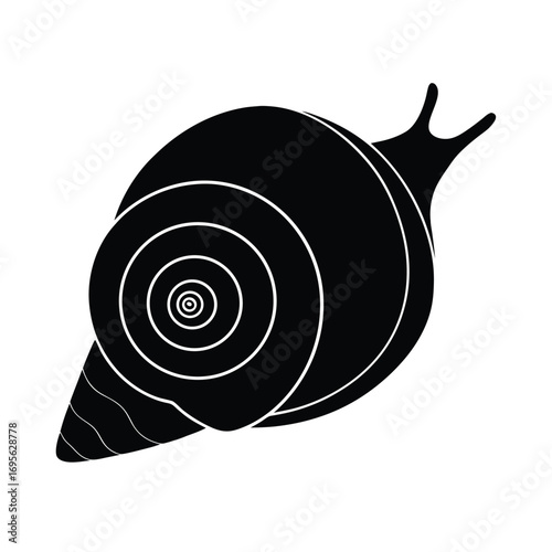 snail on a white background