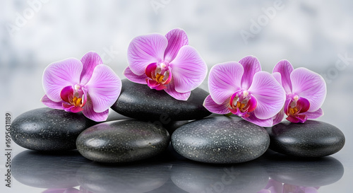 Zen stones with pink orchids create a calming spalike atmosphere