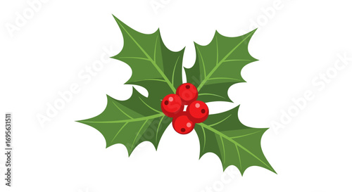 A vibrant illustration of a holly sprig with glossy red berries and green leaves, isolated.