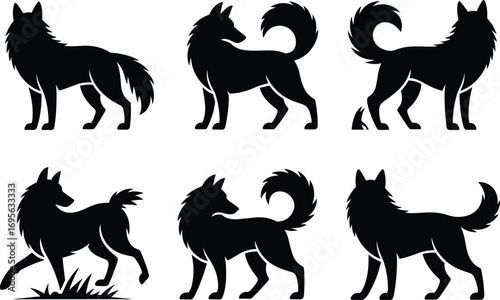 Silhouettes of wolves in various poses, vector illustration set, black animal icons, wild canine posture study, nature design elements