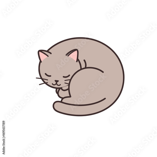 sleep cat