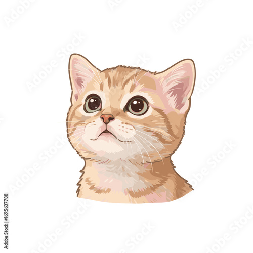 cute cat realistic illustration