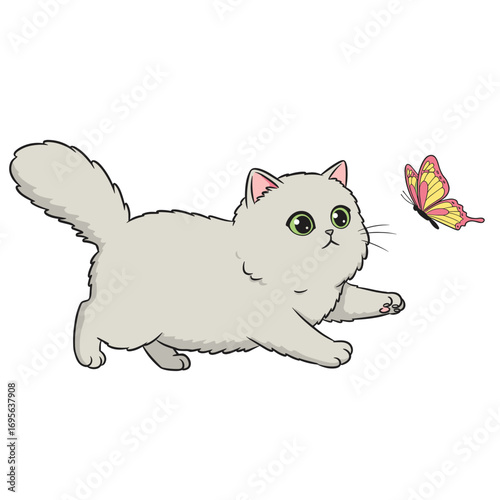 fluffy cat