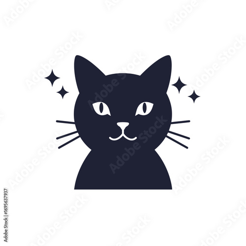 black and white cat