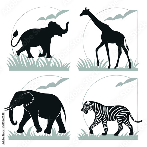 Photography set of animals