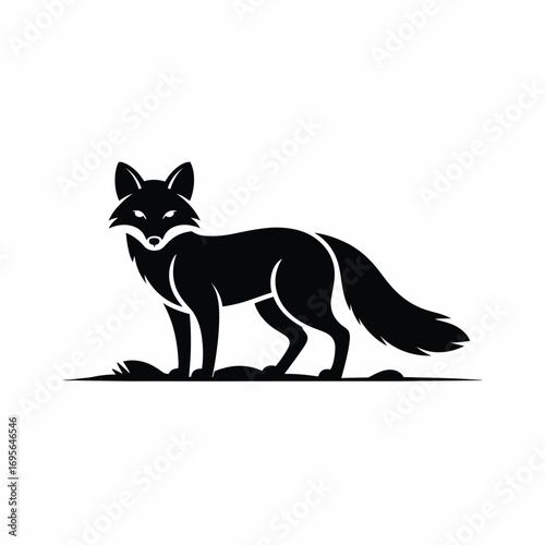 Black fox standing on ground animal wildlife