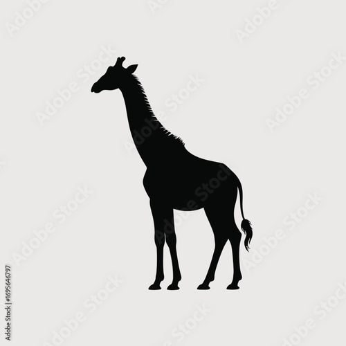 Black giraffe silhouette standing on a light gray background animal wildlife