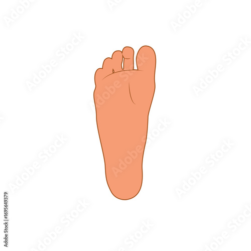 Cartoon human foot sole view with toes and skin details isolated on white background. 