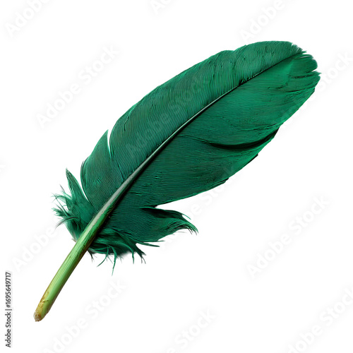 Elegantly isolated: A vibrant green feather against a stark black backdrop studio shot