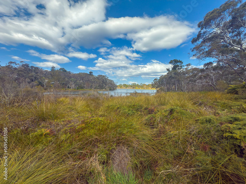 Photograph of Wentworth Falls Lake and the surrounding bushland on a vibrant blue sky cloudy day in the Blue Mountains town of Wentworth Falls in NSW, Australia.