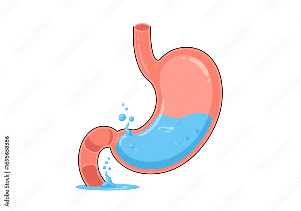Fototapeta premium Illustrating gastric distress and digestive system vulnerabilities with fluid leaks showing internal organ functionality and issues