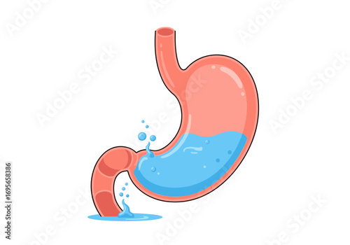 Illustrating gastric distress and digestive system vulnerabilities with fluid leaks showing internal organ functionality and issues