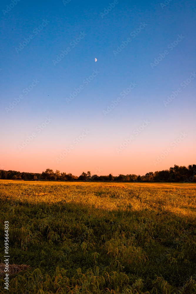Obraz premium sunset over the field with the moon overhead