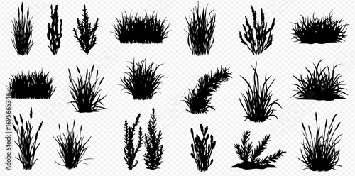 A diverse collection of black grass, bush, and plant silhouettes in various shapes and sizes, isolated on a transparent background.