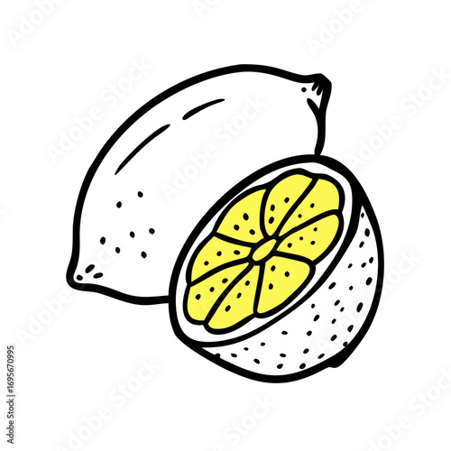 vector illustration of an orange fruit