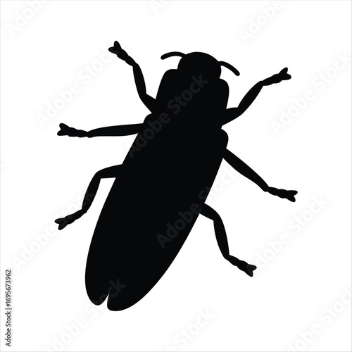 Detailed silhouette of a cockroach insect crawling on a white surface