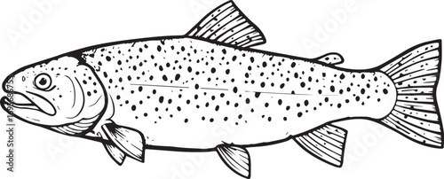 Black and White Trout Fish Illustration Keywords: fish, trout, illustration, black and white