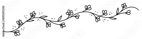 delicate floral vine divider border line art vector