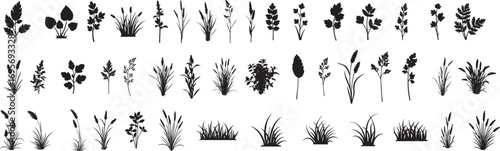 grass silhouettes vector