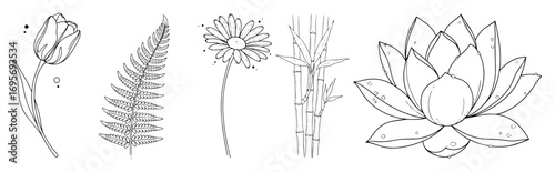 botanical flower and plant line art illustration set