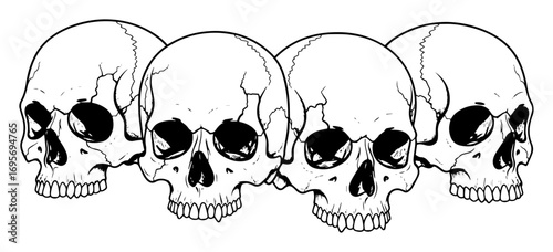 row of realistic human skulls tattoo art vector