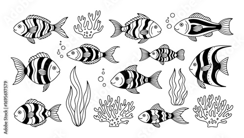 tropical fish and coral set hand drawn vector
