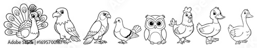 cute cartoon birds collection vector illustration set