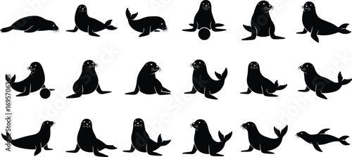 Silhouette Set of Seals in Various Poses and Activities, Marine Animal Behavior, Playful Tricks, Black Vector Icons for Design Use