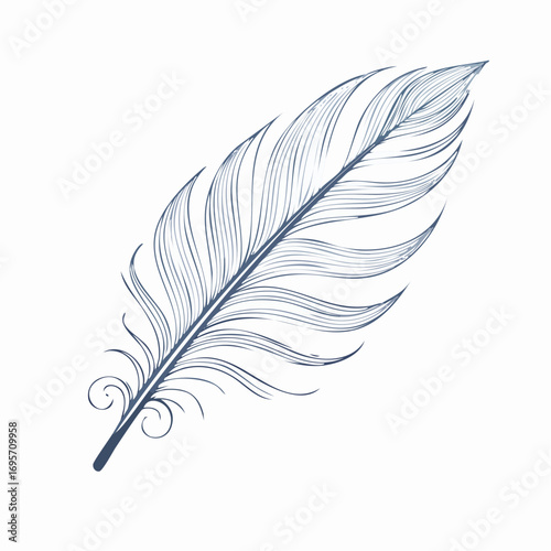 Graceful single feather illustration with decorative swirls, hand-drawn in a classic vintage line art style. Symbolizing lightness, writing, and elegance