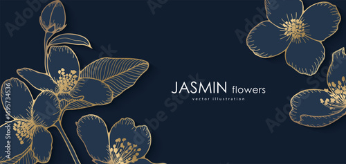 Luxurious floral illustration with jasmine flowers. Golden outline of jasmine flowers on dark blue background.