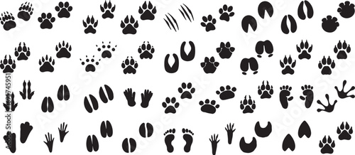 footprint, paw print, animal, human, track, trace, impression, wildlife, nature, mammal, bird, dog, cat, deer, bear, hoof, claw, foot, hand, walking, trail, set, collection, graphic, icon, design, iso