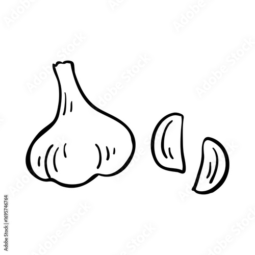 Hand drawn garlic illustration. Doodle garlic illustration. 