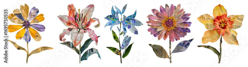 Photos PNG Colorful artistic floral collage, element set on transparent background