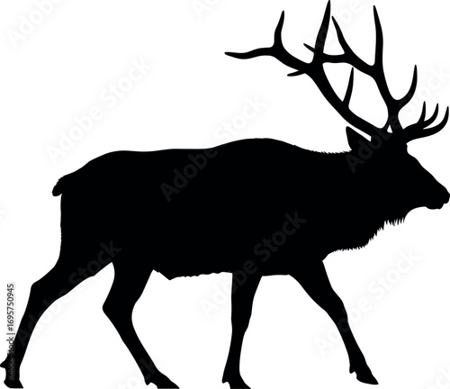 Majestic elk silhouette silhouette wildlife animal nature forest creature majestic forest dweller antlered mammal outdoor graceful wildlife scene