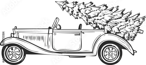 Vintage convertible car transporting a festive evergreen tree vintage car holiday