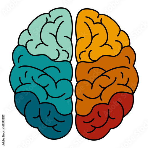 Stylized human brain with colorful hemispheres illustrating left and right brain function concept for education or mental health awareness.