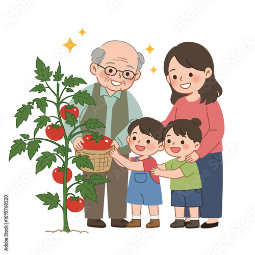 Joyful Intergenerational Family Harvesting Organic Tomatoes Vector Illustration