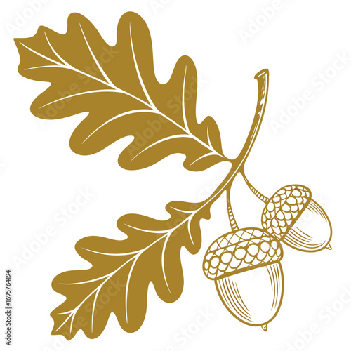 oak leaves and acorns